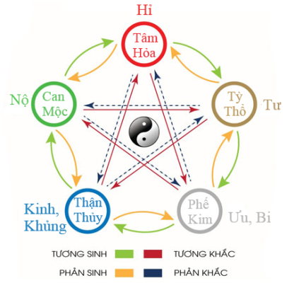 tuong sinh tuong khac dong y tinh tuc