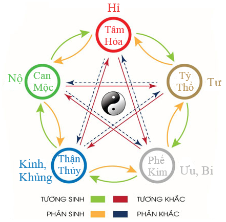 Cảm xúc liên quan đến bệnh tật 4 tuong sinh tuong khac dong y tinh tuc