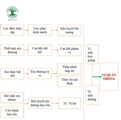Các nguyên nhân dẫn đến đau dạ dày theo Đông Y