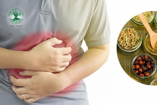 cay thuoc nam chua dau da day 01