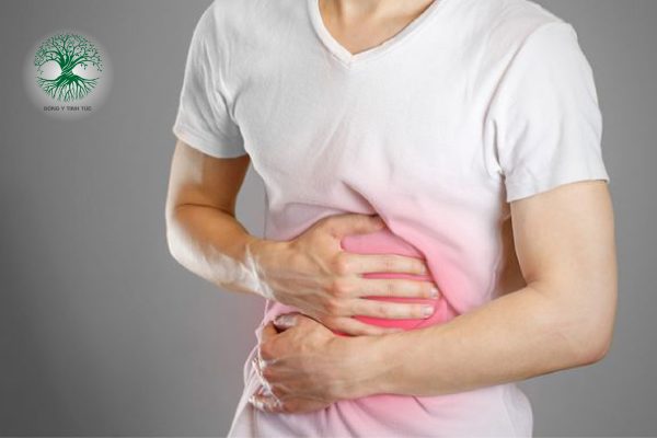 Các Loại Cây Thuốc Nam Chữa Đau Dạ Dày Hiệu Quả 6 cay thuoc nam chua dau da day 02