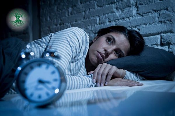 meo dan gian chua mat ngu 02